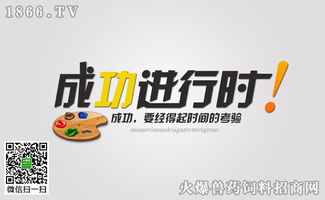 經(jīng)銷商成功營銷的三個標(biāo)準(zhǔn)與落地實踐